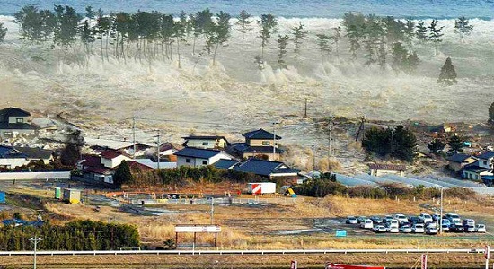 самое большое цунами