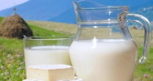 почему полезно молоко