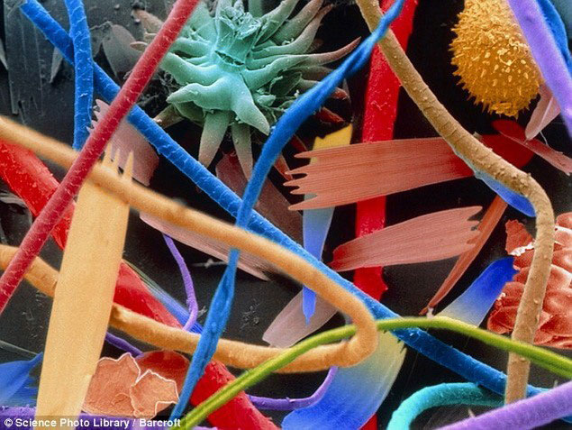 Красота под микроскопом