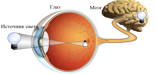 глаукома глаза