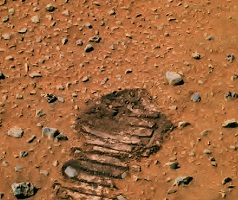 Полёт на Марс
