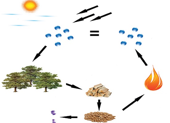 биогеохимический цикл