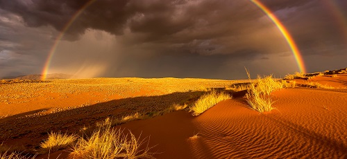 дождь в пустыне