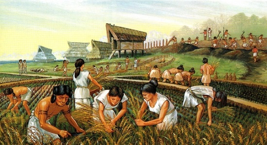 История сельского хозяйства