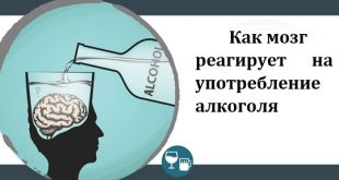 мозг и алкоголь