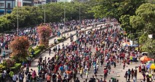 проблема численности