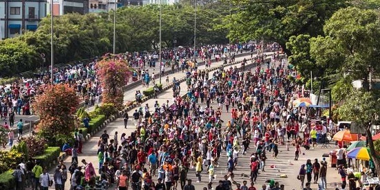 проблема численности